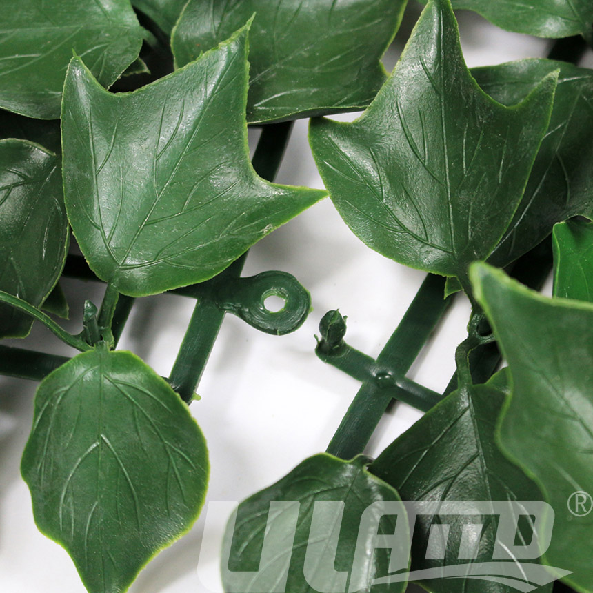 ����ֲ��A005����(ji��)�D1