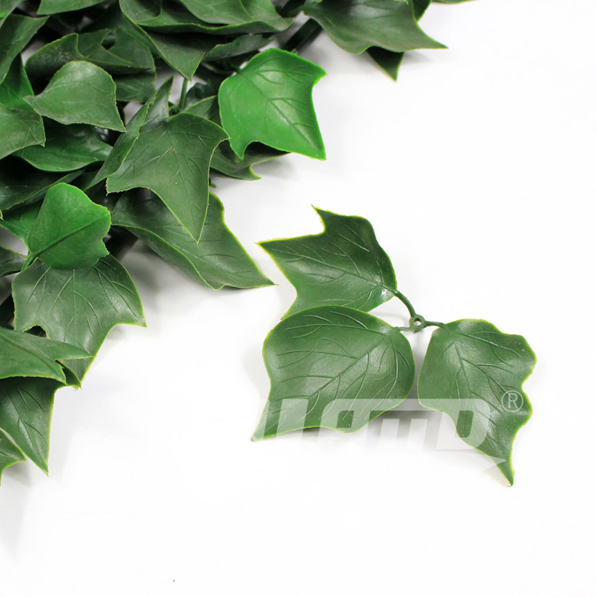 ����ֲ��A005����(ji��)�D2