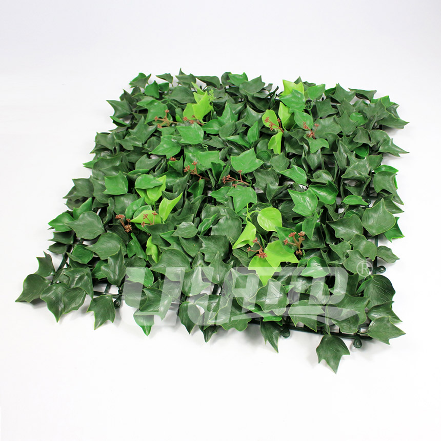 Ƭ�����ֲ��A005