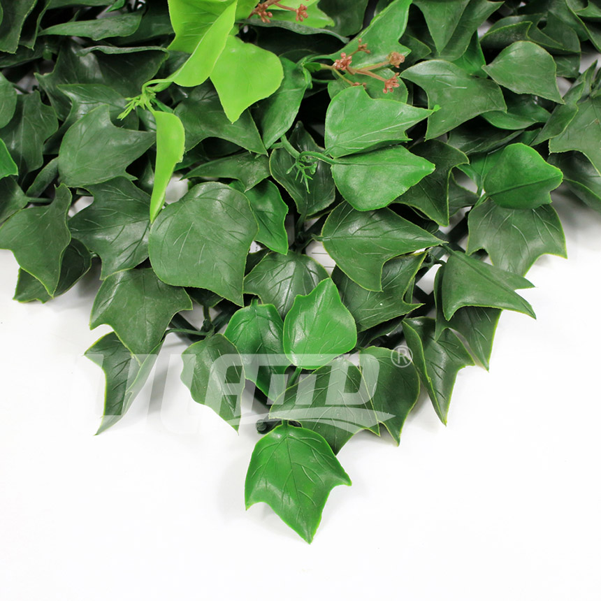 ����ֲ��A005����(ji��)�D3