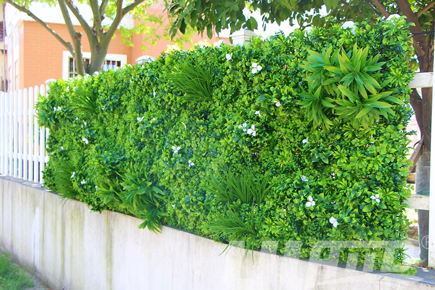 建筑圍墻綠化
