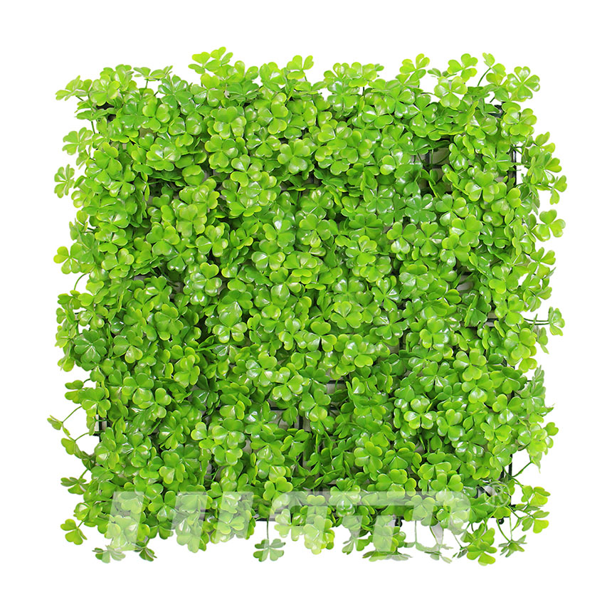 ����ֲ��A007