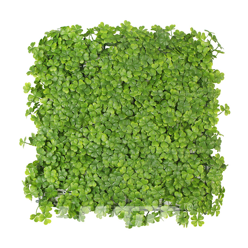 ����ֲ��A007