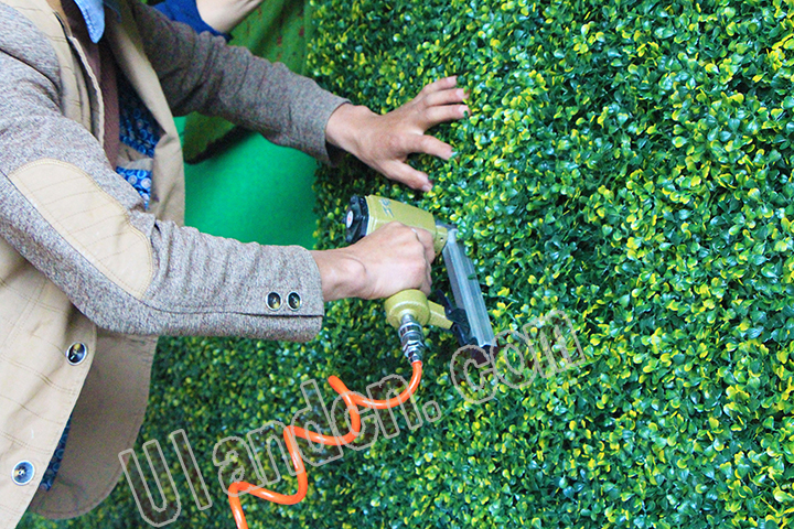 ����ֲ�ʩ��