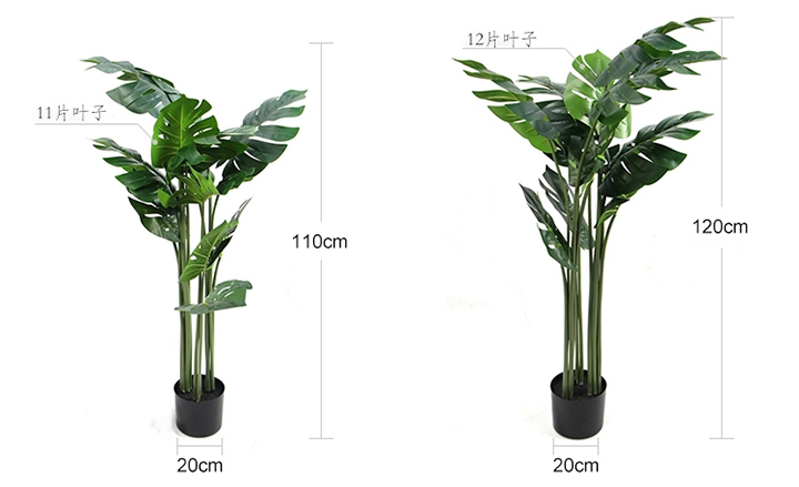 ����������ߴ�