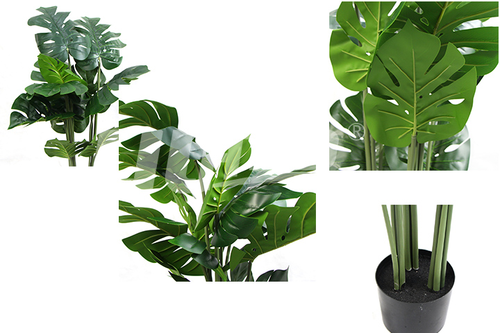 �������Ԙ������񼚹��D