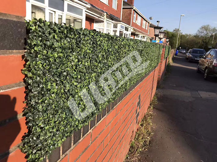 �����G��Ч���D