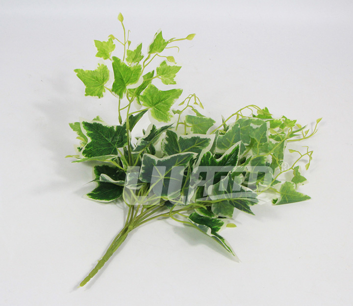 ���w����ֲ���߅�ع��~