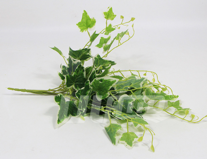 ����ֲ���߅�ع��~