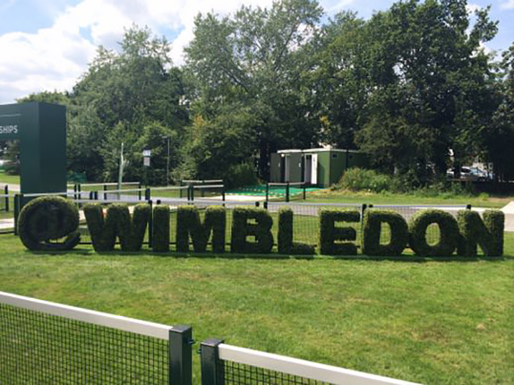 ��ֲ��DIY����ĸ