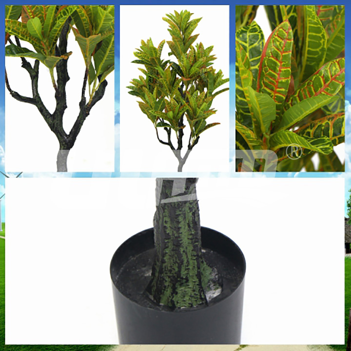 �������Ԙ�׃�~ľ