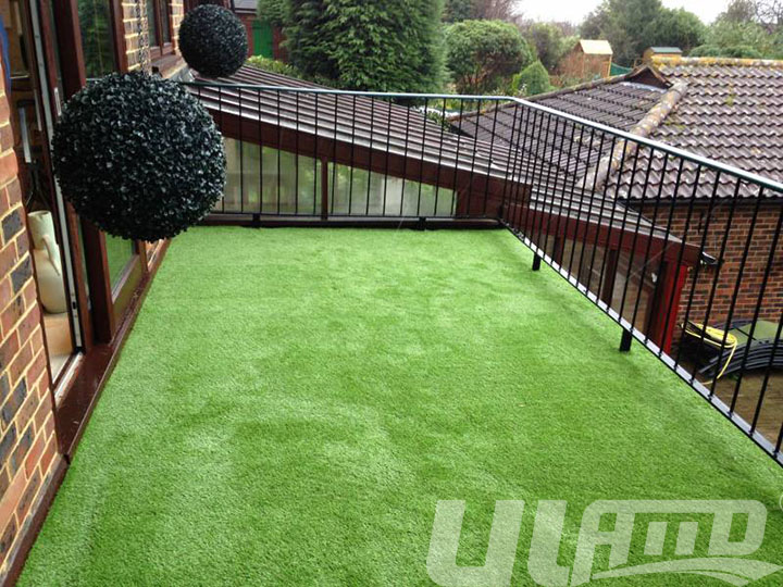 ¶����_�÷����ƺ