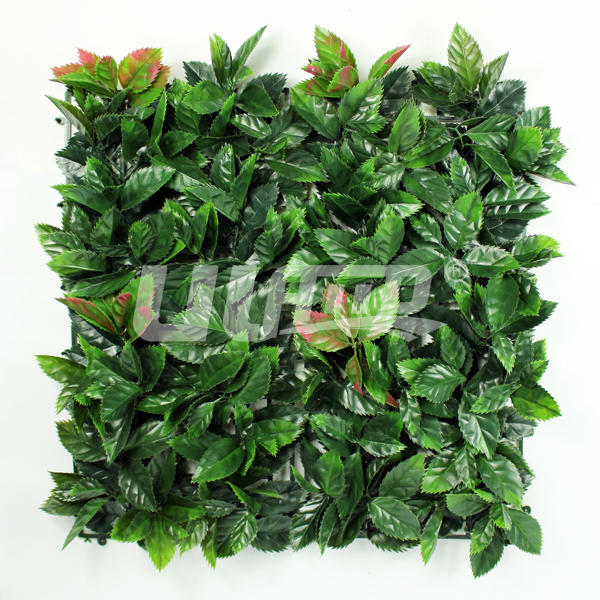 Ƭ�����ֲ�����~