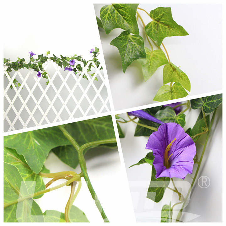 ���栿ţ���ٗl��ɫ