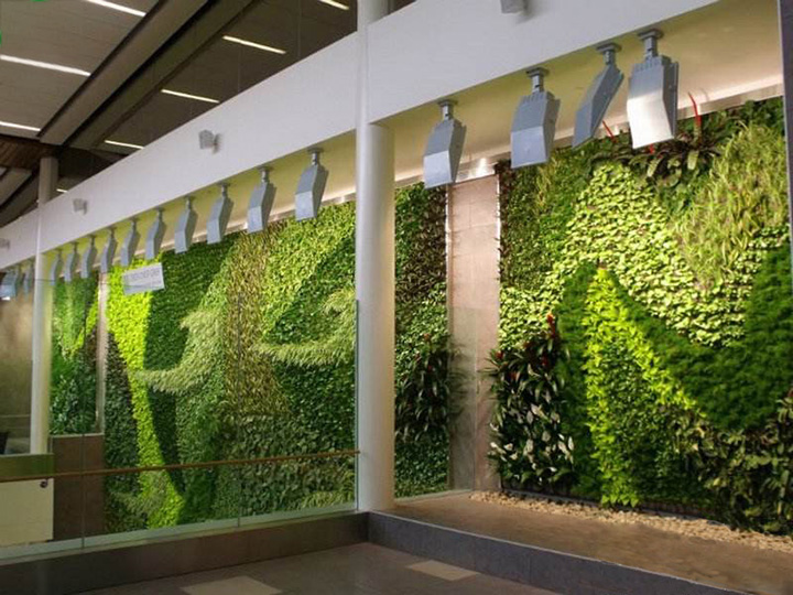 �҃ȉ���ֲ�ﴹֱ�G���b�