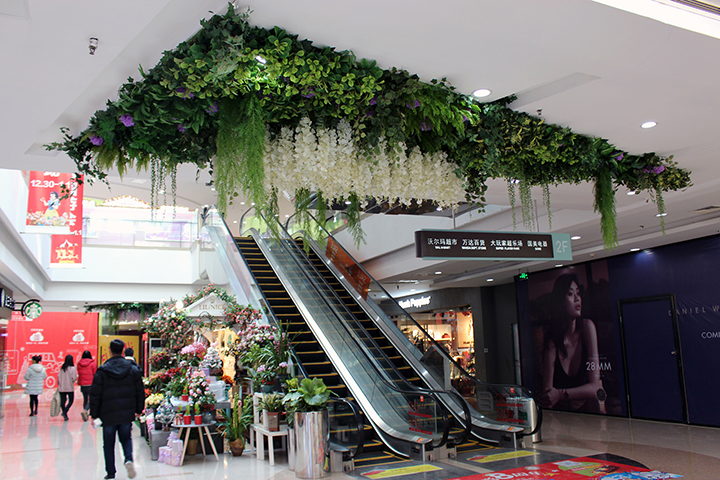 �̈�����ֲ����