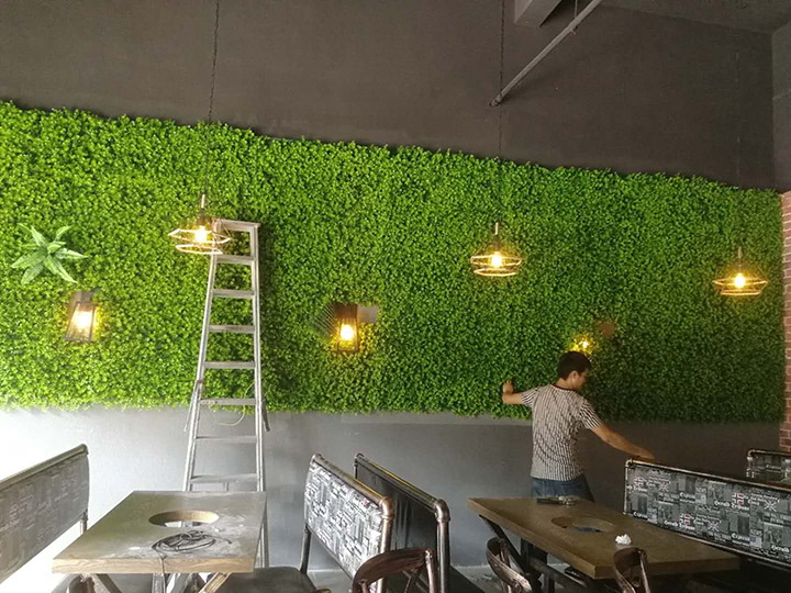 仿真植物金錢葉工程案例