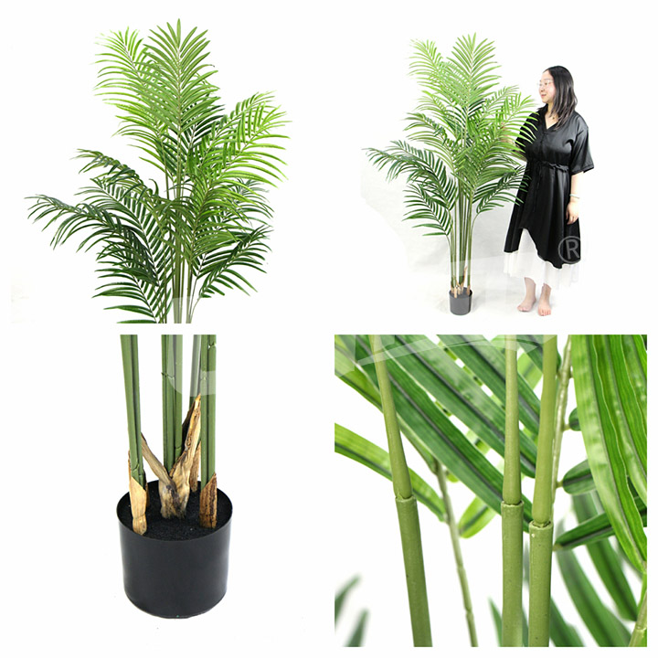 �������Ԙ�(sh��)ɢβ��