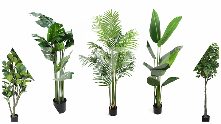 ����С���Ԙ�(sh��)