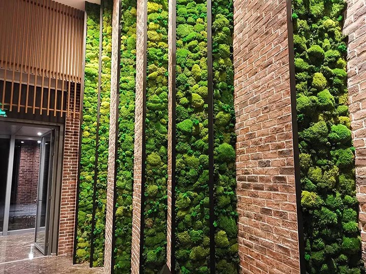 ̦�\ֲ�Ч���D