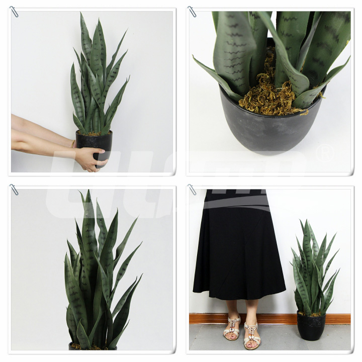 ����С���Ի�β�m