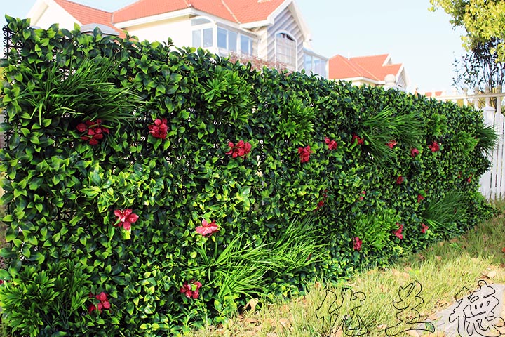 室外庭院植物隔斷墻效果圖