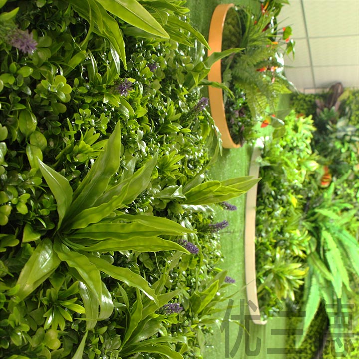 �ڒ�������ֲ��