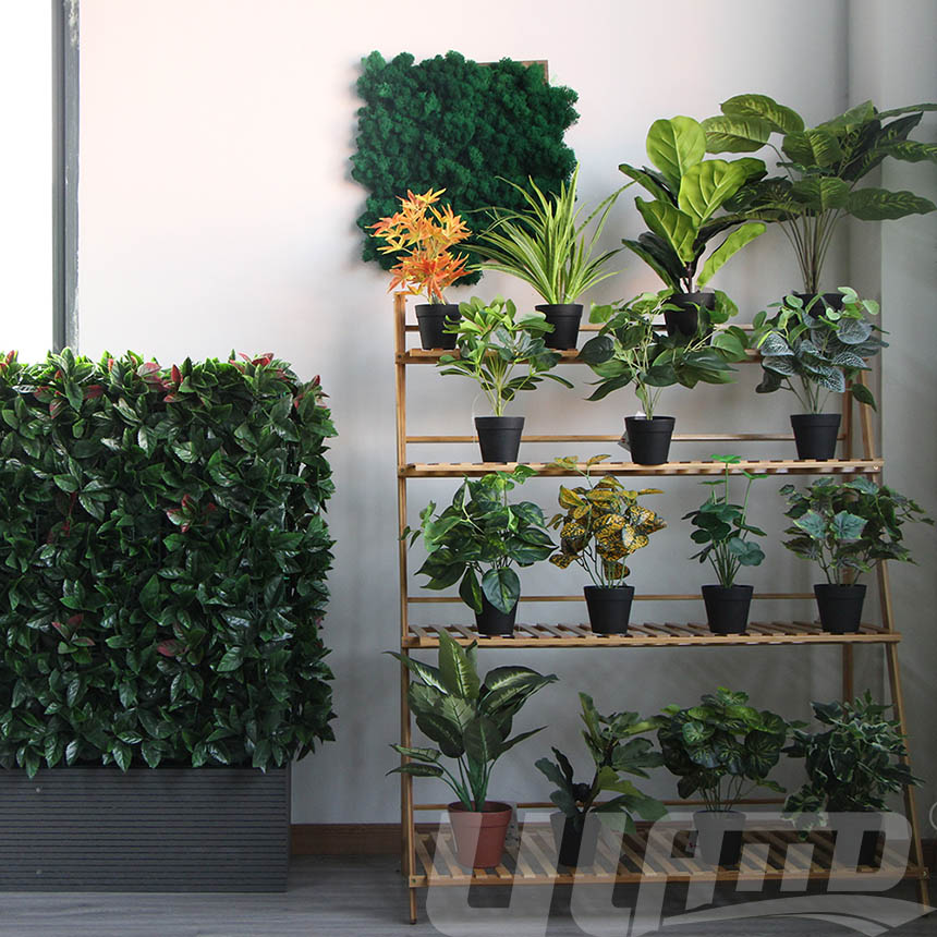 ����ֲ�����L(f��ng)�ͷ���ֲ������