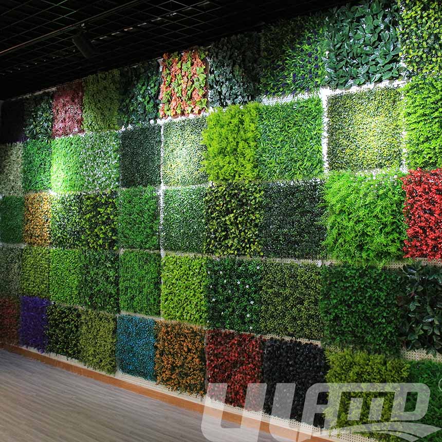 Ƭ�����ֲ��