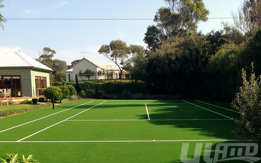 �W(w��ng)�����b�����ƺ���̰���