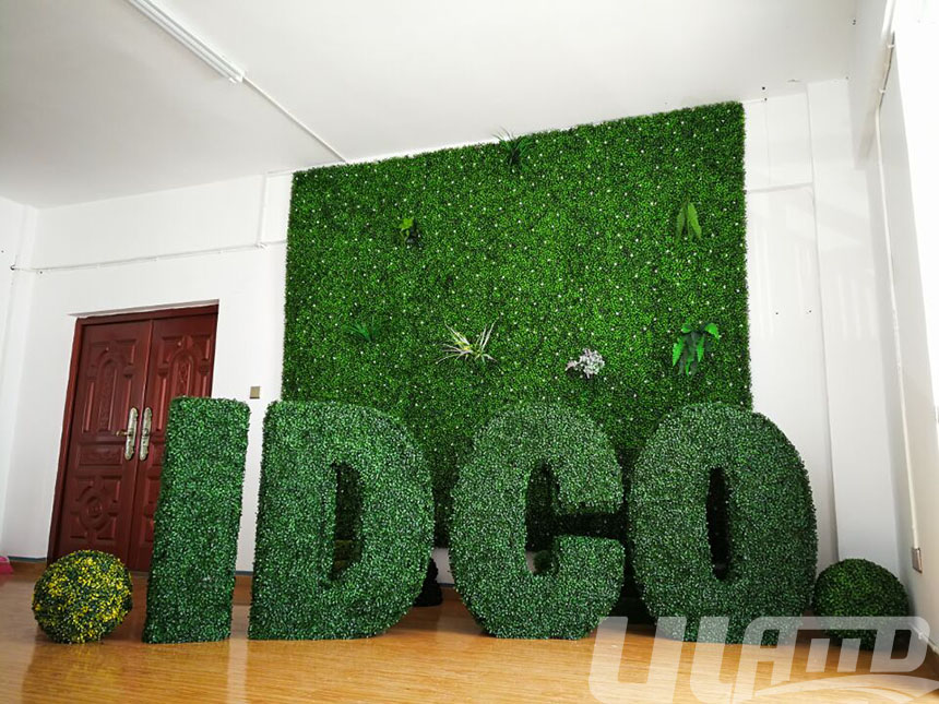 ����ֲ����ĸ