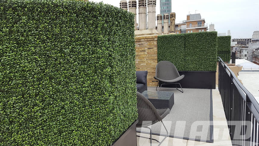 ����ֲ�����L����Ժ��