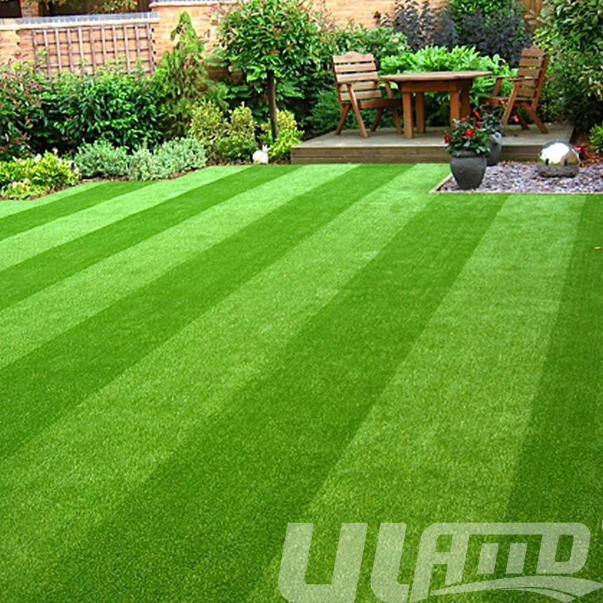 �����ƺ-���e��ƺ