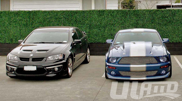 ͥԺ���w�G��