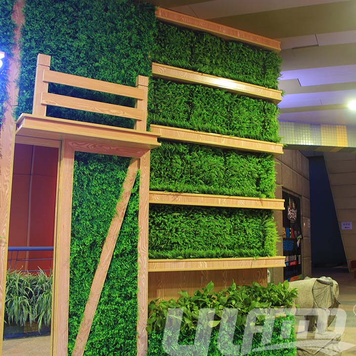 �������ƺ