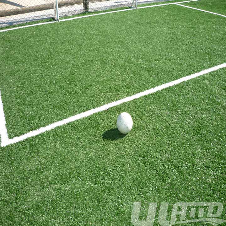 ����������ƺ