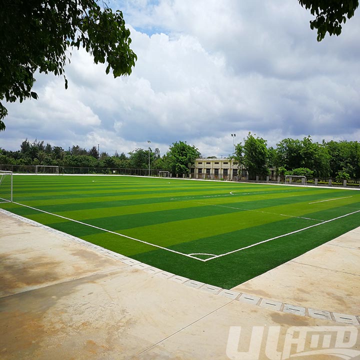 ��������ƺ