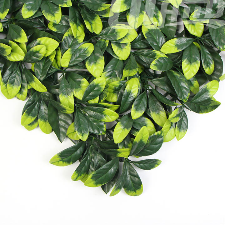 ��ȼB��Ƭ�����ֲ����~