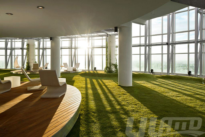 �����ƺ��̺