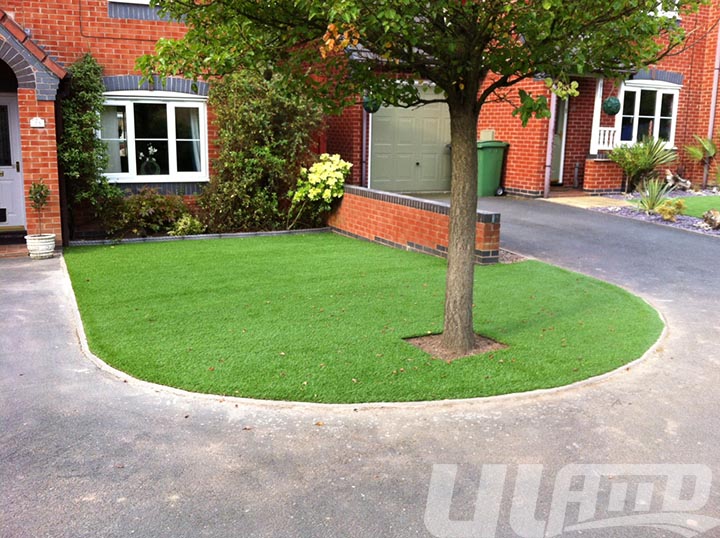 ͥԺ�����ƺ