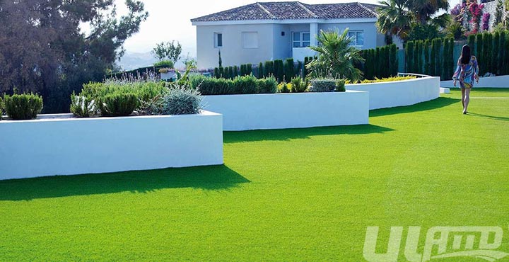 ͥԺ�����ƺ