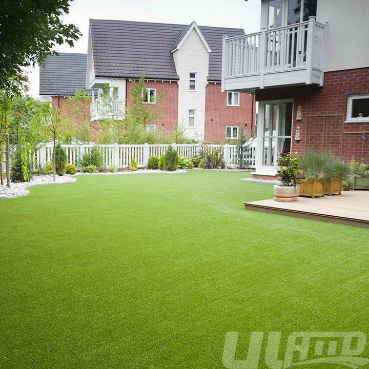 ��������ƺ