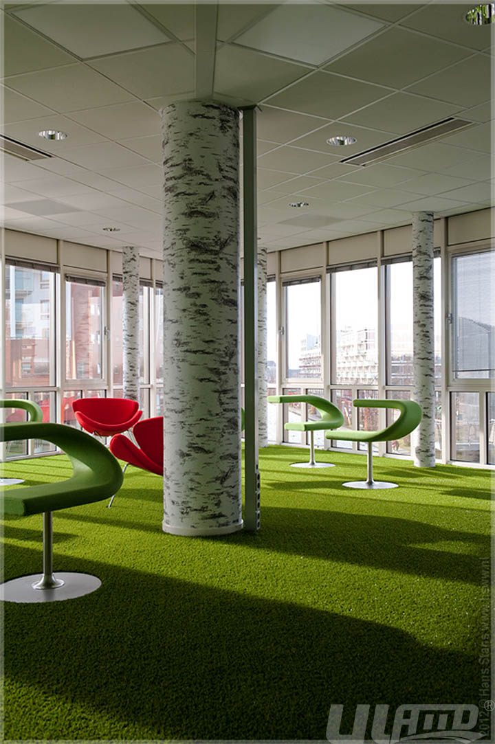 �҃ȷ����ƺ��̺