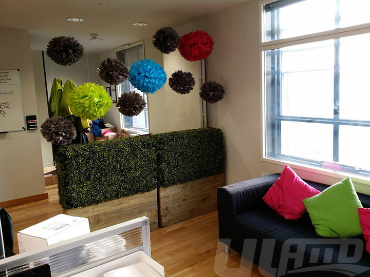 �҃�(n��i)����ֲ�����L(f��ng)����