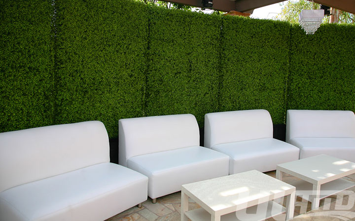 �������ֲ�����L(f��ng)����