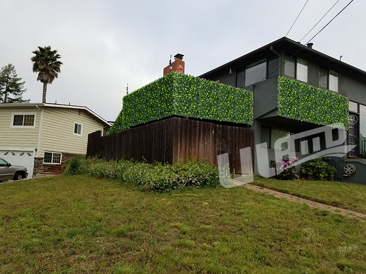 陽(yáng)臺(tái)仿真植物墻