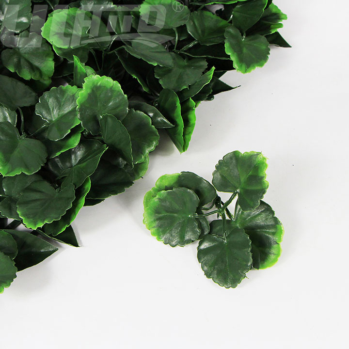 ����ֲ��A071��(x��)��(ji��)�D