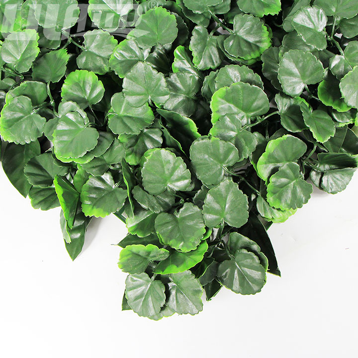 ����ֲ��A071�ֲ��D