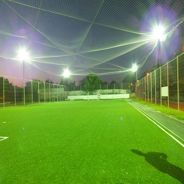 �\(y��n)��(d��ng)��(ch��ng)�����ƺ