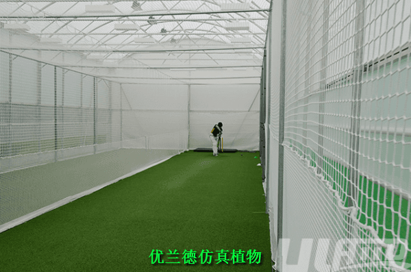 �\(y��n)��(d��ng)��(ch��ng)�����ƺ�S��